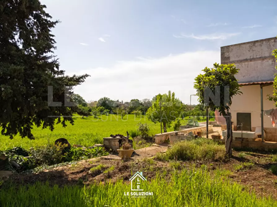 Immagine 18 di Villa in vendita  in strada comunale del rosario a Putignano