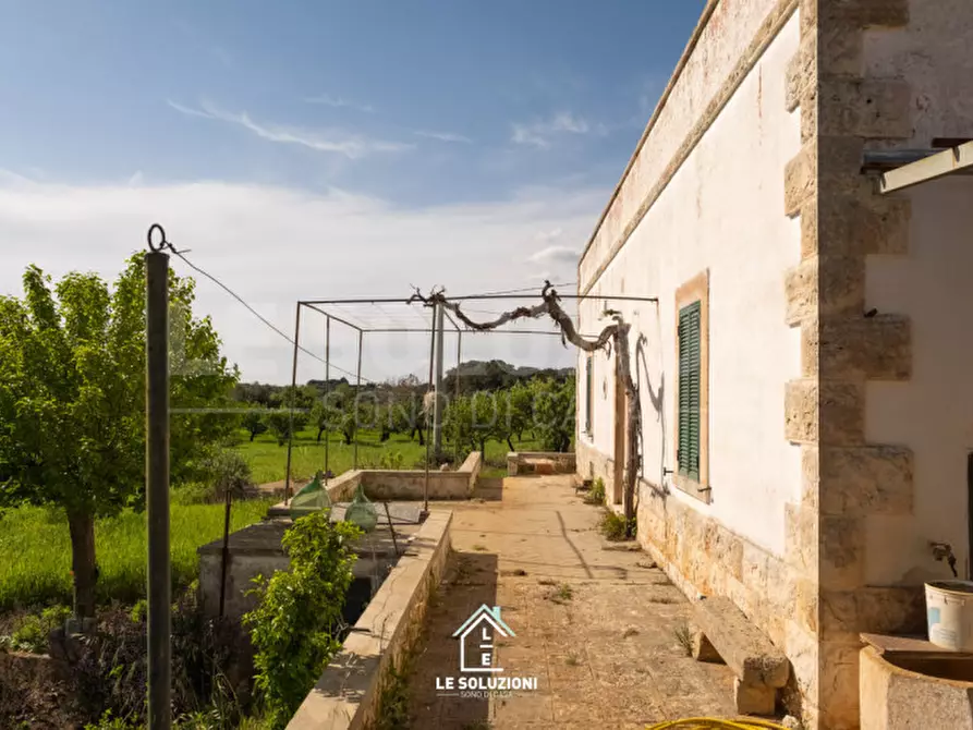 Immagine 21 di Villa in vendita  in strada comunale del rosario a Putignano
