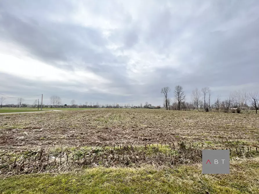 Immagine 2 di Terreno in vendita  a Santa Giustina In Colle