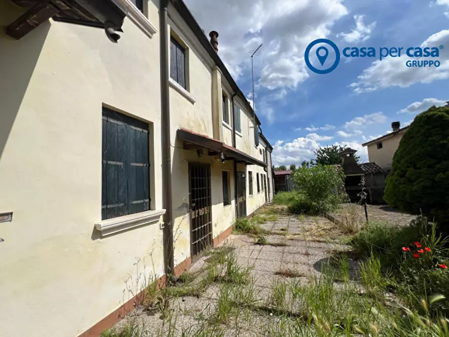 Immagine 27 di Casa bifamiliare in vendita  in Villanova Marchesana, Via Canalnovo a Villanova Marchesana
