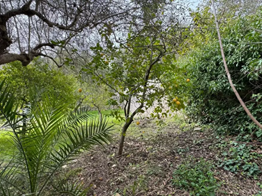 Immagine 8 di Rustico / casale in vendita  in Contrada San Silvestro Rassabia a Modica