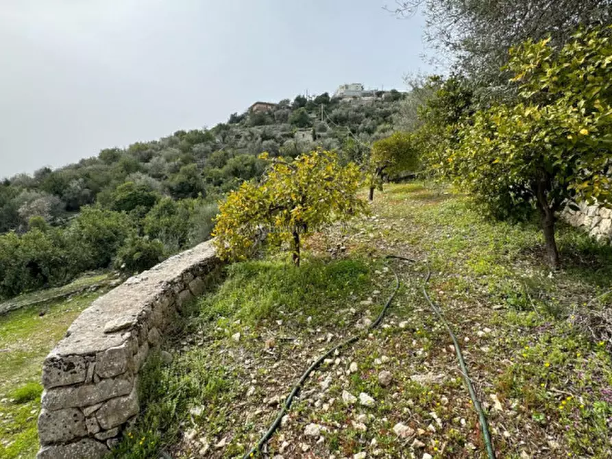 Immagine 17 di Rustico / casale in vendita  in Contrada San Silvestro Rassabia a Modica