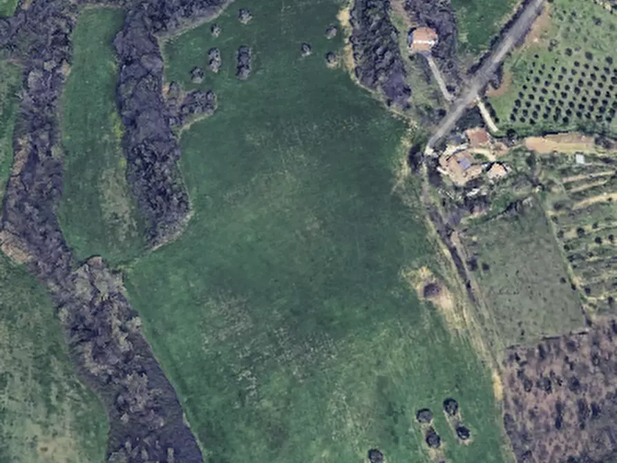 Immagine 2 di Terreno in vendita  in novilara a Pesaro