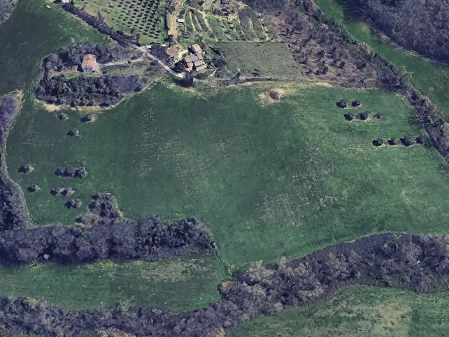 Immagine 3 di Terreno in vendita  in novilara a Pesaro