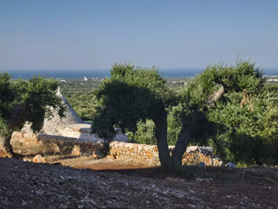 Immagine 7 di Villa in vendita  in EGUE a Fasano