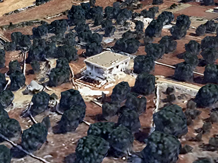 Immagine 17 di Villa in vendita  in EGUE a Fasano