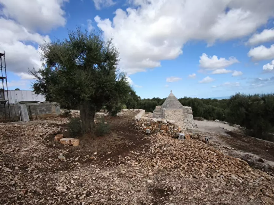 Immagine 29 di Villa in vendita  in EGUE a Fasano