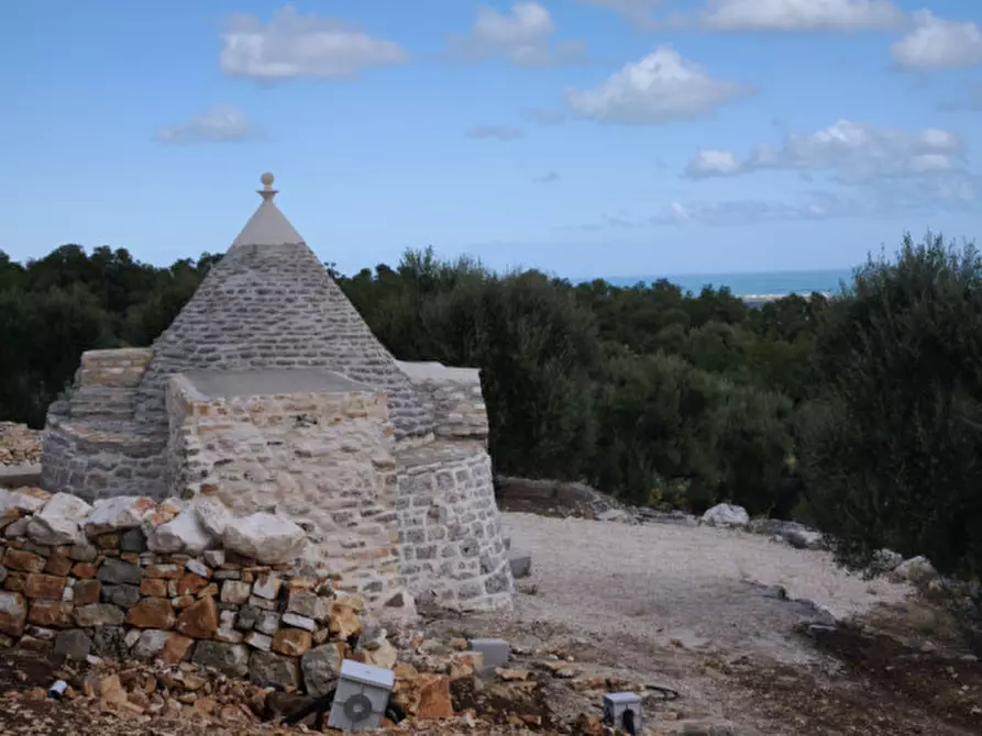Immagine 30 di Villa in vendita  in EGUE a Fasano