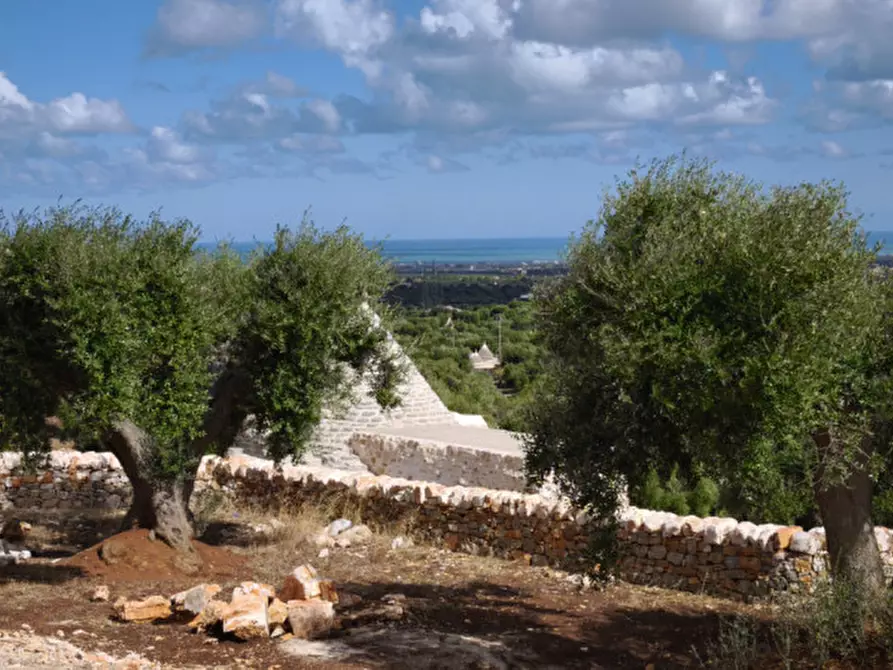 Immagine 31 di Villa in vendita  in EGUE a Fasano