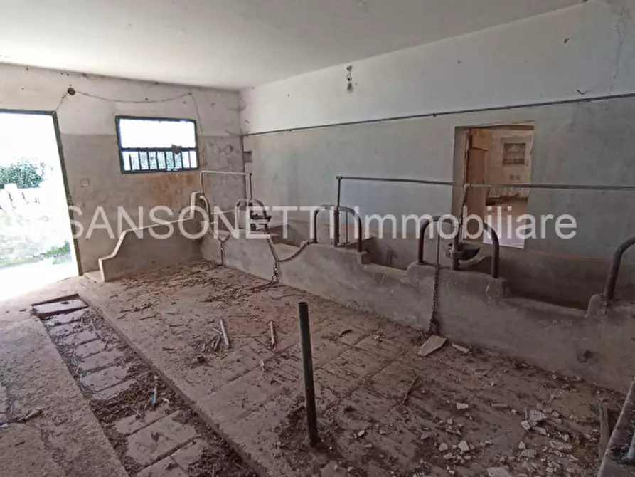 Immagine 39 di Rustico / casale in vendita  in SYS a Cisternino