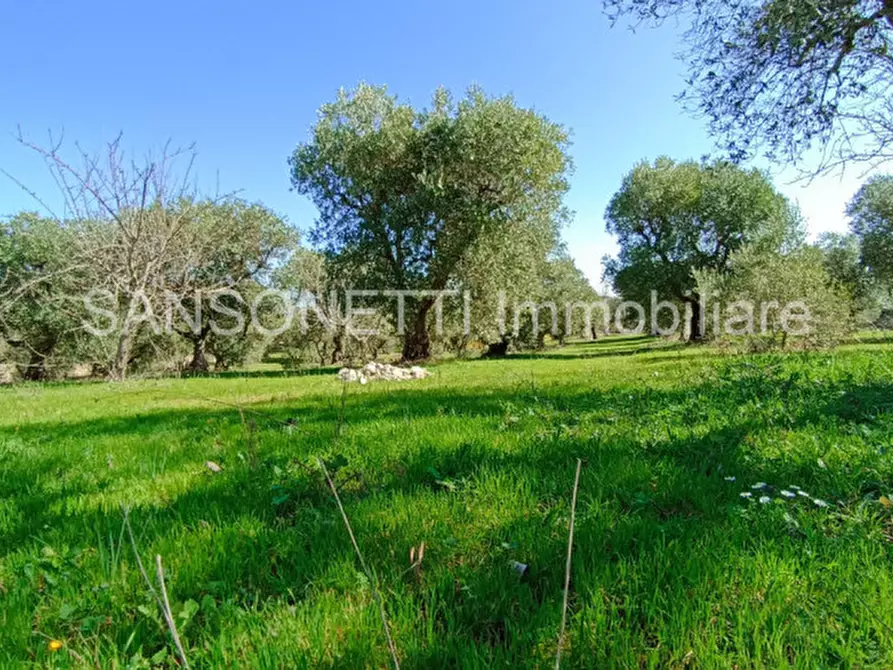 Immagine 45 di Rustico / casale in vendita  in SYS a Cisternino