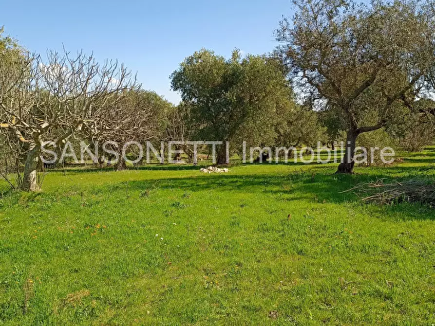 Immagine 46 di Rustico / casale in vendita  in SYS a Cisternino