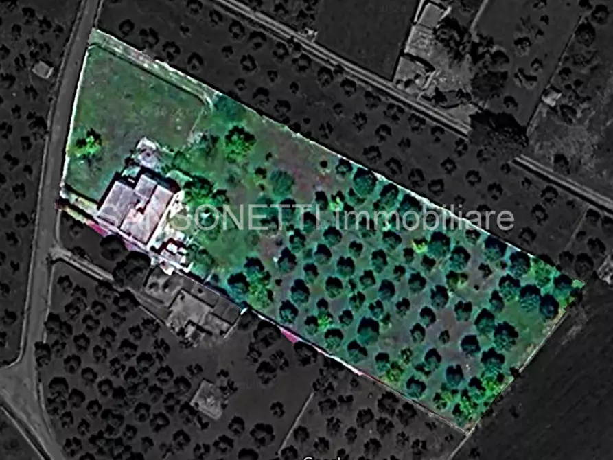 Immagine 58 di Rustico / casale in vendita  in SYS a Cisternino