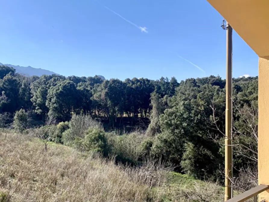 Immagine 22 di Casa bifamiliare in vendita  a Calangianus