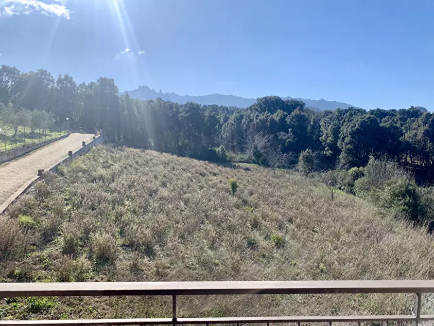 Immagine 30 di Casa bifamiliare in vendita  a Calangianus