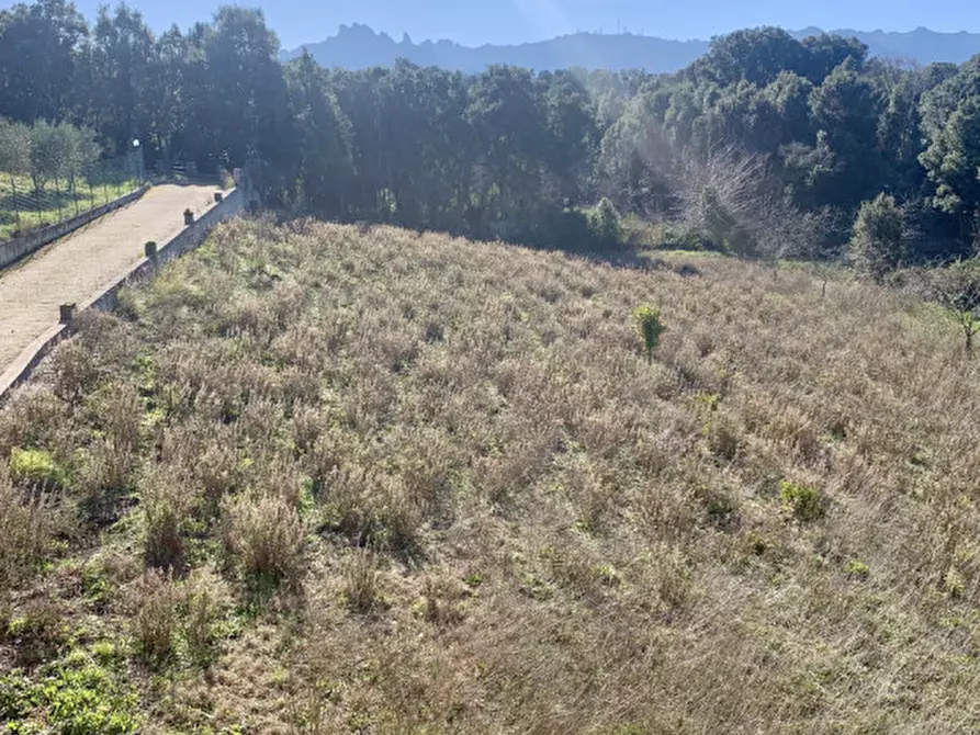 Immagine 31 di Casa bifamiliare in vendita  a Calangianus