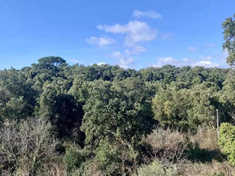 Immagine 33 di Casa bifamiliare in vendita  a Calangianus