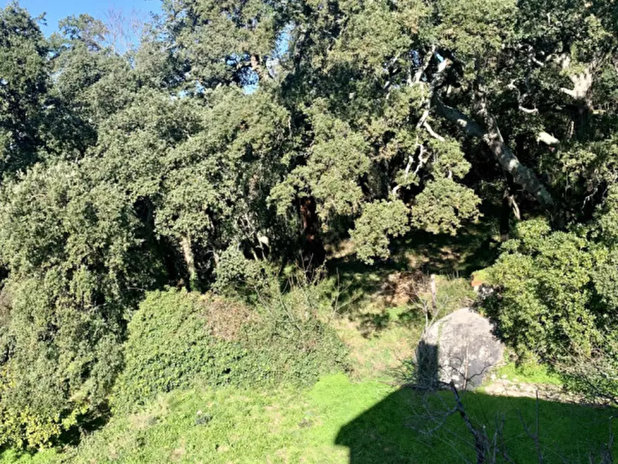 Immagine 34 di Casa bifamiliare in vendita  a Calangianus