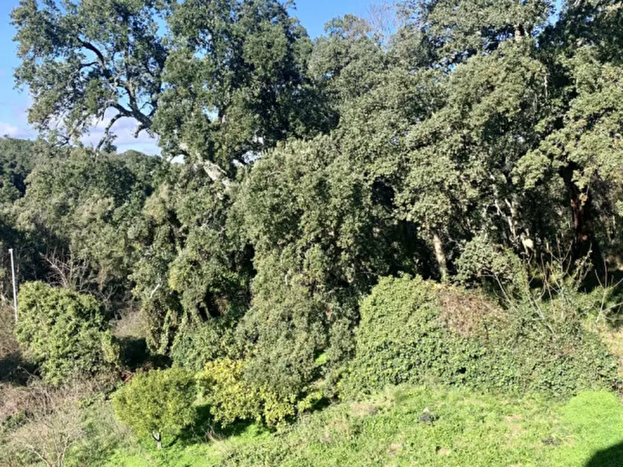 Immagine 35 di Casa bifamiliare in vendita  a Calangianus