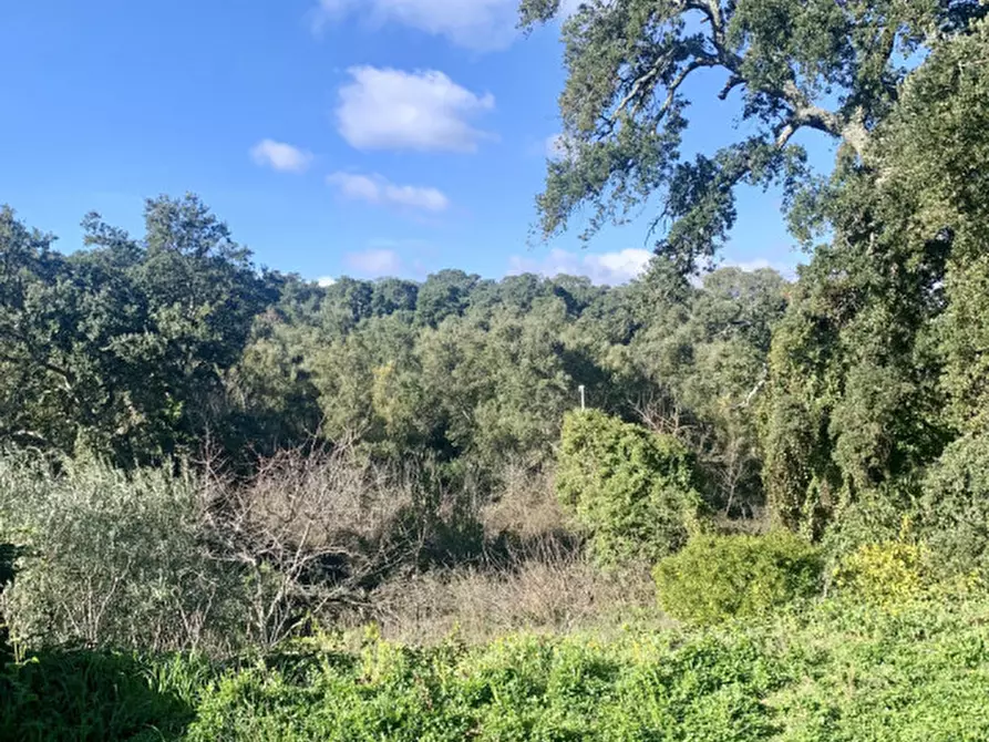 Immagine 37 di Casa bifamiliare in vendita  a Calangianus