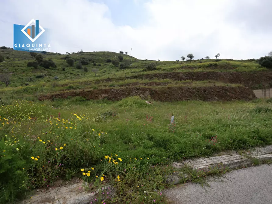 Immagine 3 di Terreno in vendita  in via Giovanni Falcone snc a Palagonia