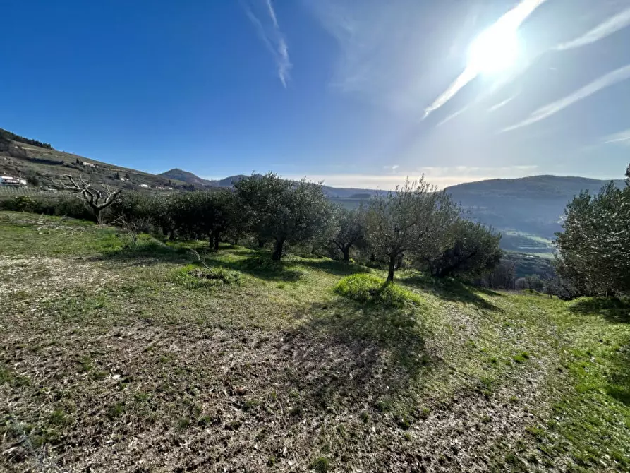 Immagine 20 di Terreno in vendita  a Tregnago