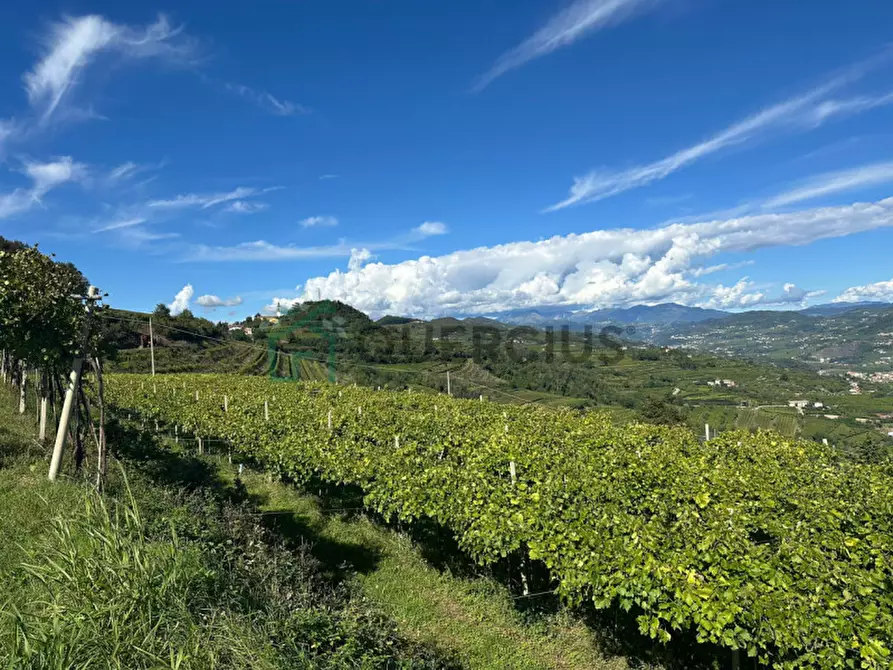 Immagine 4 di Terreno in vendita  in Via Recoaretto a Soave