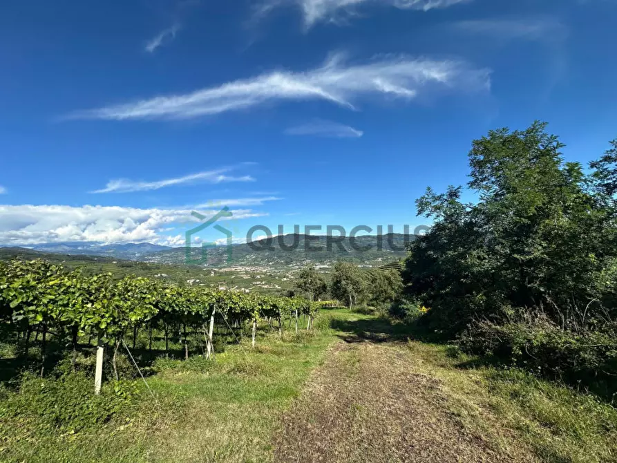 Immagine 8 di Terreno in vendita  in Via Recoaretto a Soave