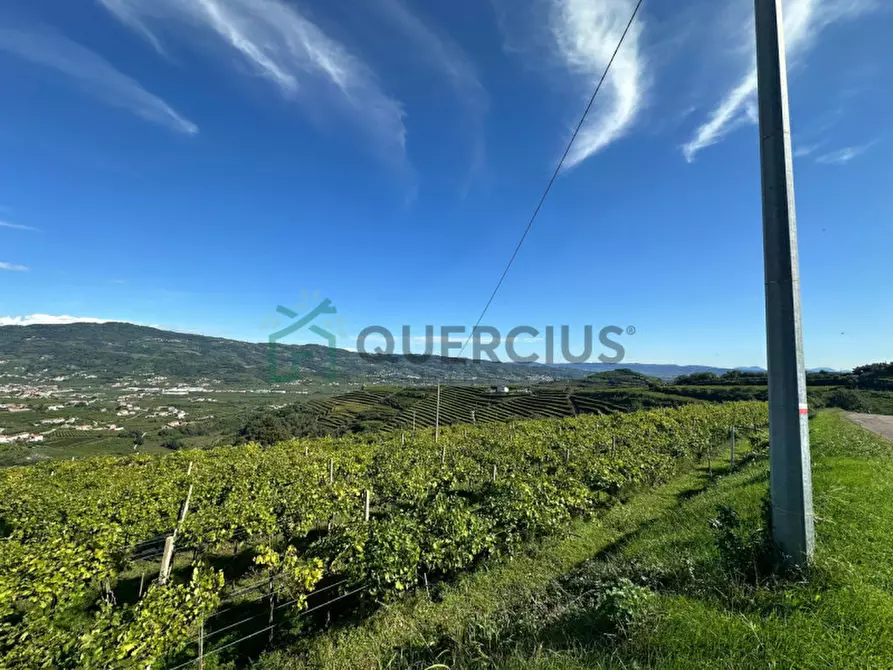 Immagine 9 di Terreno in vendita  in Via Recoaretto a Soave