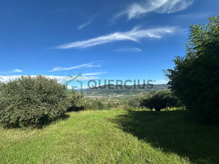 Immagine 11 di Terreno in vendita  in Via Recoaretto a Soave