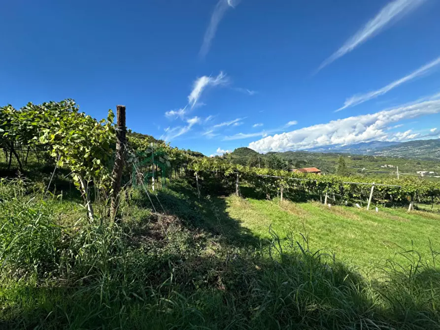Immagine 12 di Terreno in vendita  in Via Recoaretto a Soave