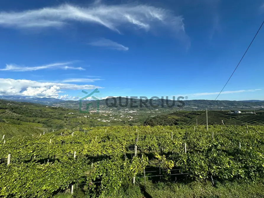 Immagine 13 di Terreno in vendita  in Via Recoaretto a Soave