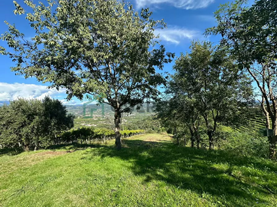 Immagine 14 di Terreno in vendita  in Via Recoaretto a Soave