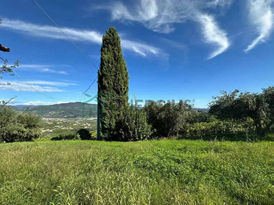 Immagine 15 di Terreno in vendita  in Via Recoaretto a Soave