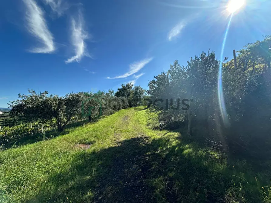 Immagine 16 di Terreno in vendita  in Via Recoaretto a Soave