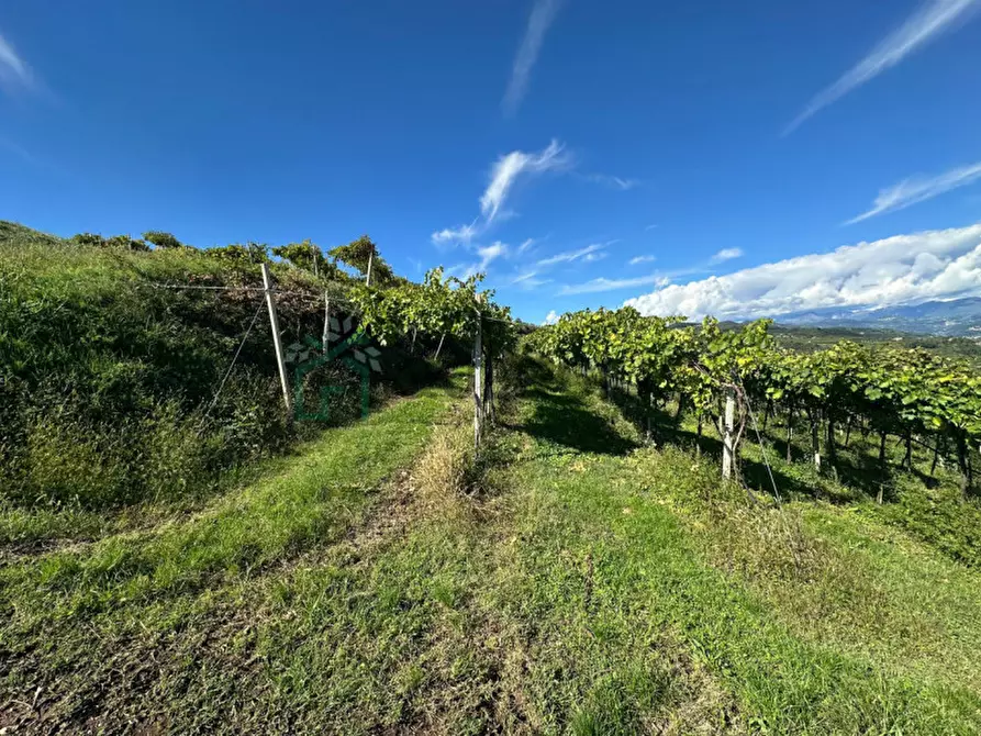 Immagine 17 di Terreno in vendita  in Via Recoaretto a Soave