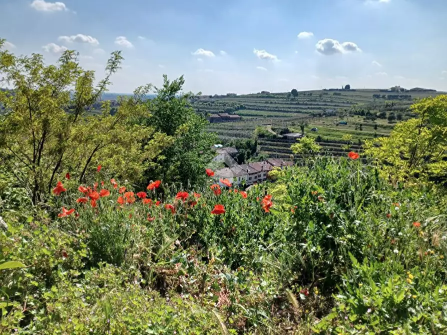 Immagine 1 di Terreno in vendita  in Via Brusabosco a Colognola Ai Colli