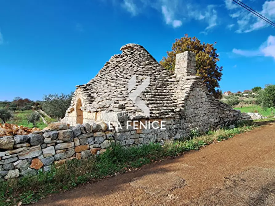 Immagine 3 di Rustico / casale in vendita  in contrada Capo di Gallo a Alberobello