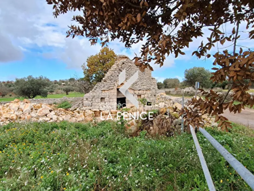 Immagine 9 di Rustico / casale in vendita  in contrada Capo di Gallo a Alberobello