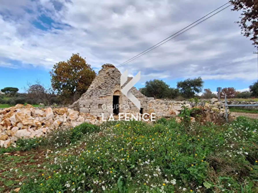 Immagine 19 di Rustico / casale in vendita  in contrada Capo di Gallo a Alberobello
