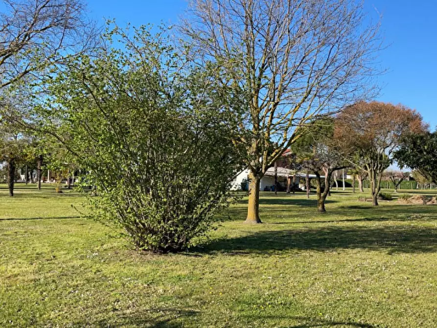 Immagine 1 di Terreno in vendita  in Via XX settembre a Cavallino-Treporti