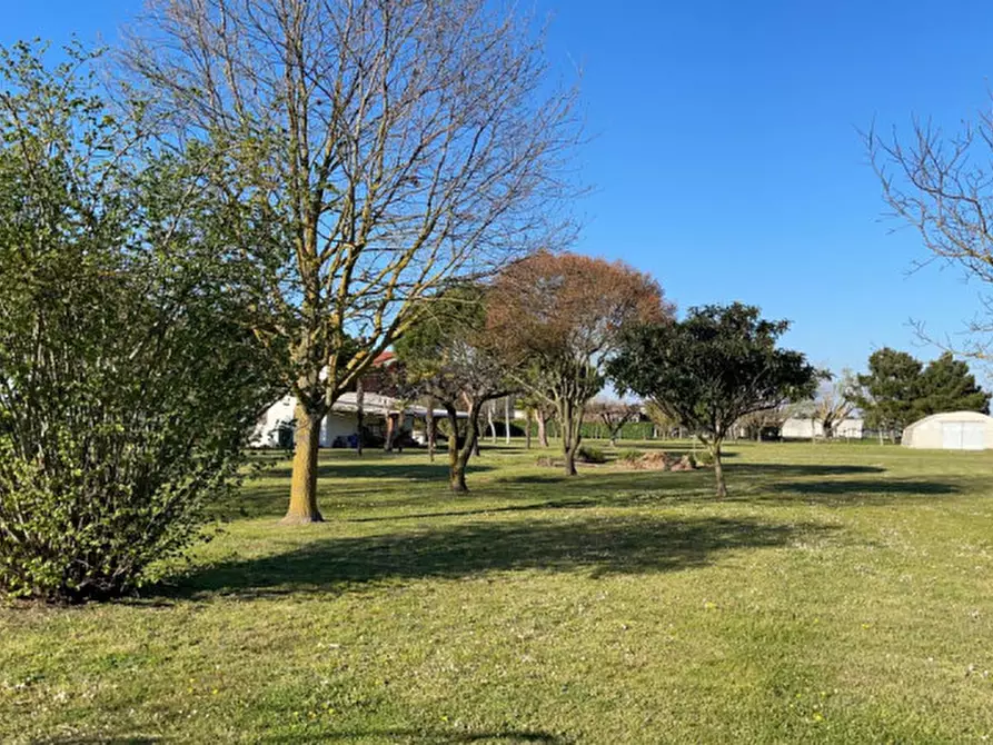 Immagine 4 di Terreno in vendita  in Via XX settembre a Cavallino-Treporti