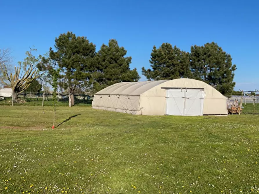 Immagine 15 di Terreno in vendita  in Via XX settembre a Cavallino-Treporti