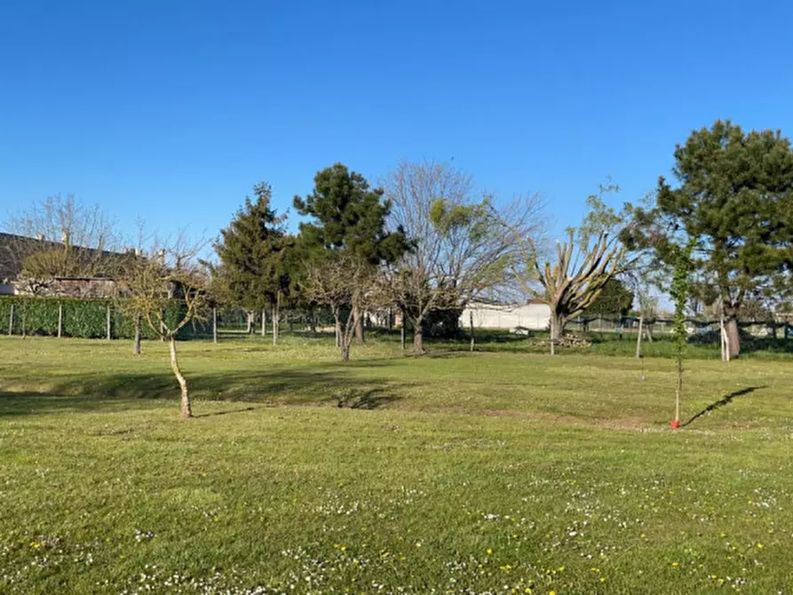 Immagine 16 di Terreno in vendita  in Via XX settembre a Cavallino-Treporti