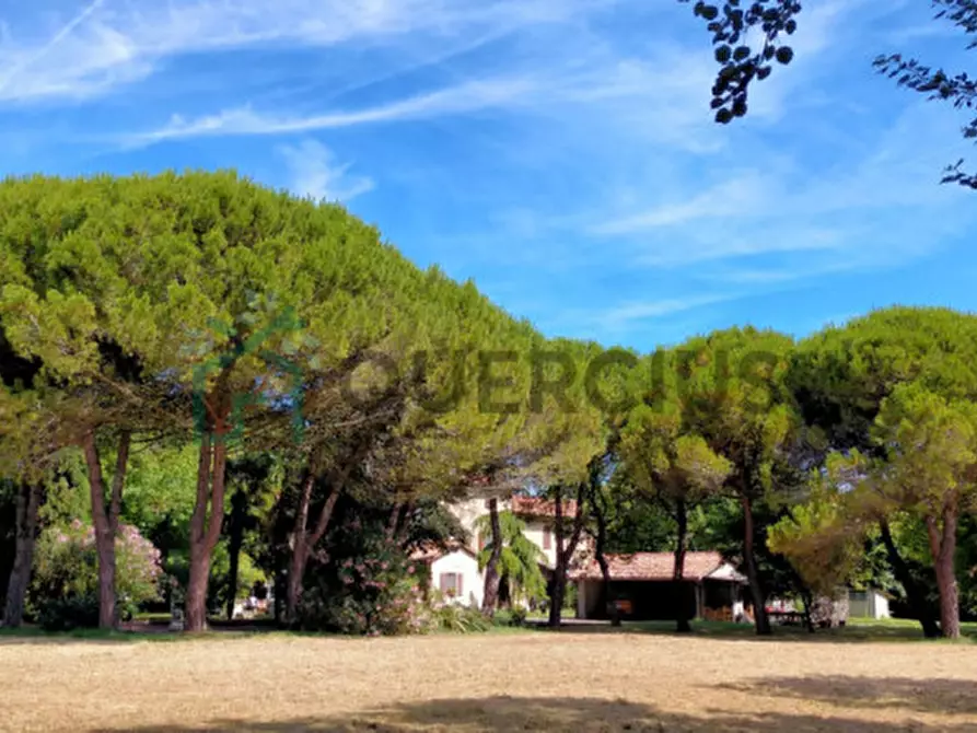 Immagine 8 di Villa in vendita  in Via Adriatica a Jesolo