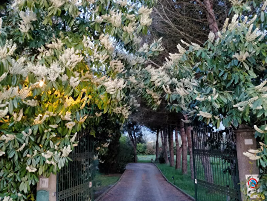 Immagine 9 di Villa in vendita  in Via Adriatica a Jesolo