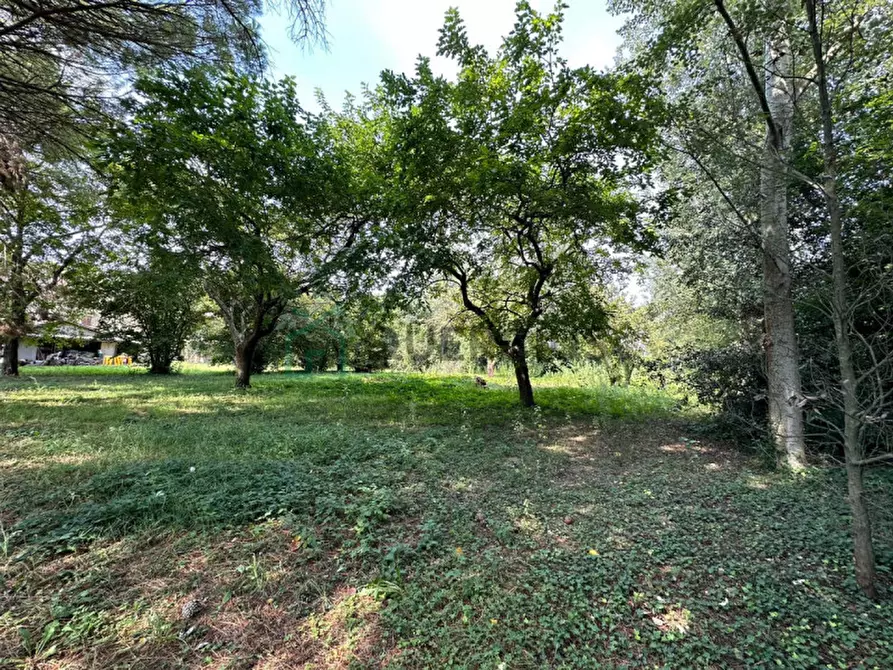 Immagine 12 di Villa in vendita  in Via Adriatica a Jesolo