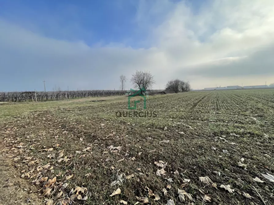 Immagine 1 di Terreno in vendita  in Via Roma a Zimella