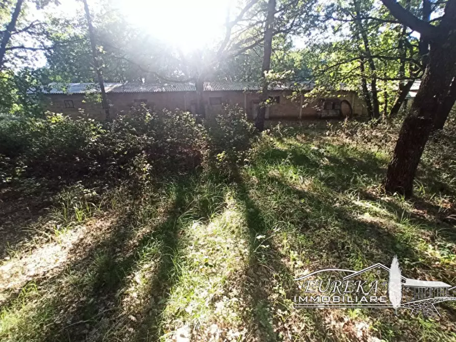 Immagine 2 di Capannone industriale in vendita  in bertoni a Castiglione Del Lago