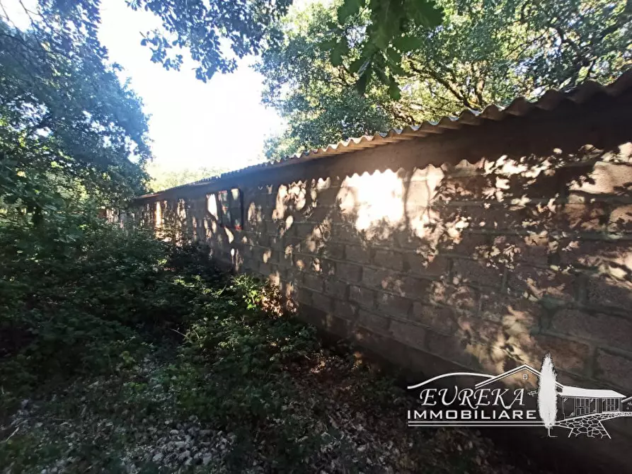 Immagine 5 di Capannone industriale in vendita  in bertoni a Castiglione Del Lago